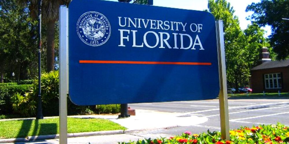 Estas son las mejores universidades en la Florida