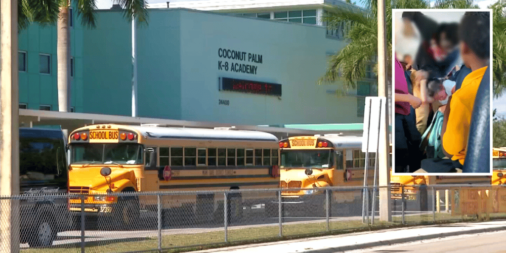 investigan-golpiza-nina-autobus-escolar-miami-lafloridaseinforma.com