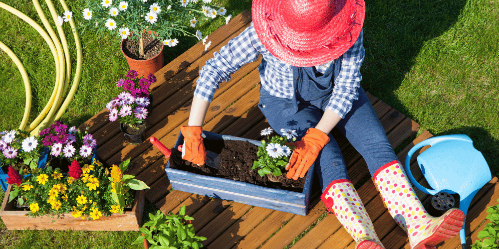 tips-cuidar-plantas-de-tu-jardin