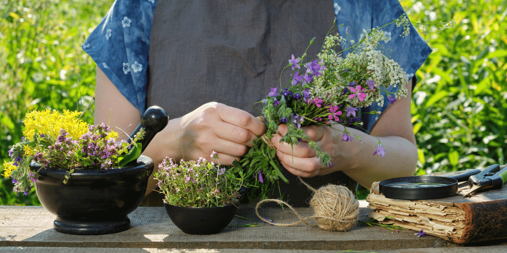 tips-cuidar-plantas-de-tu-jardin-lafloridaseinforma.com