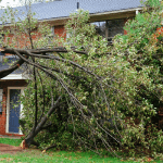 Consejos para limpiar después de un huracán