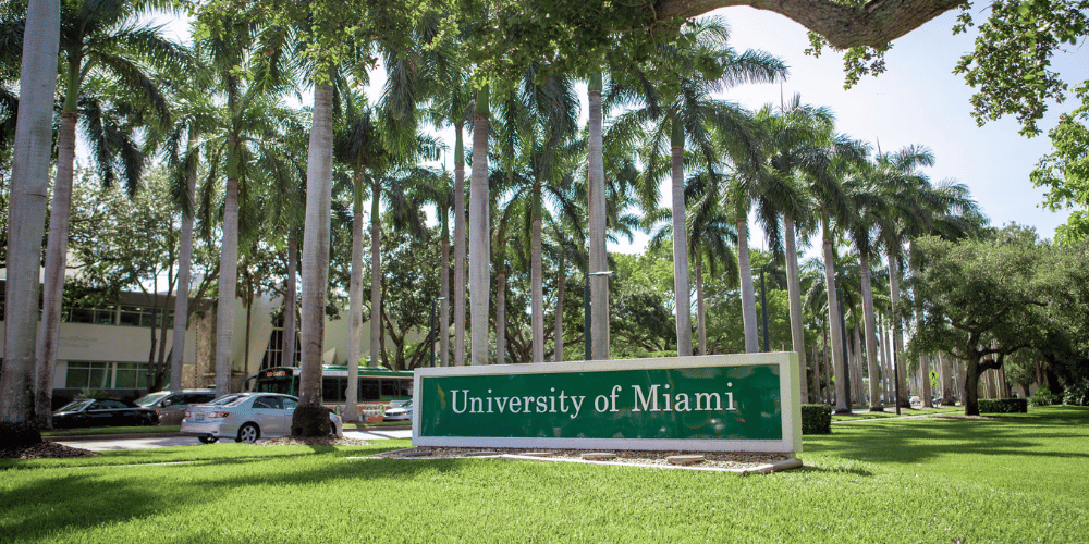 Estudiantes de la Universidad de Miami reaccionan luego de que un correo electrónico “demasiado provocativo” llamara la atención