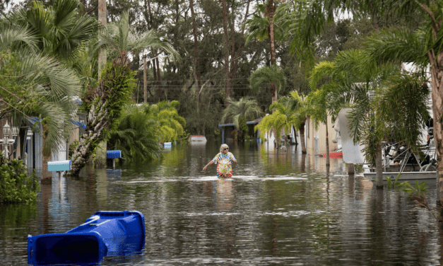 Aumentan los casos de bacterias carnívoras en Florida tras el huracán Milton