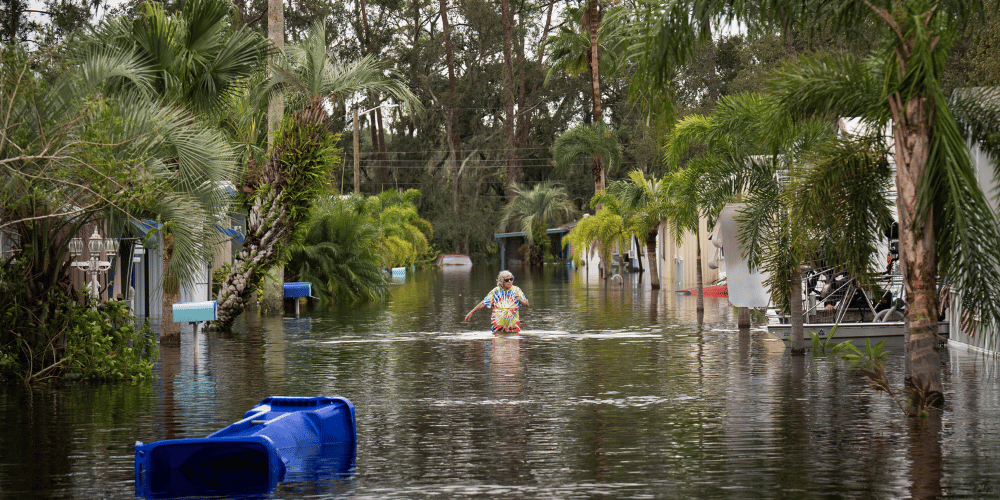 Aumentan los casos de bacterias carnívoras en Florida tras el huracán Milton