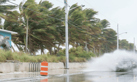 2 millones de personas quedaron sin energía eléctrica tras el paso del huracán Milton por Florida, causando muertes e inundaciones