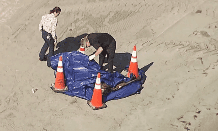 ¡Espeluznante! Encuentran una cabeza humana en una popular playa de Florida