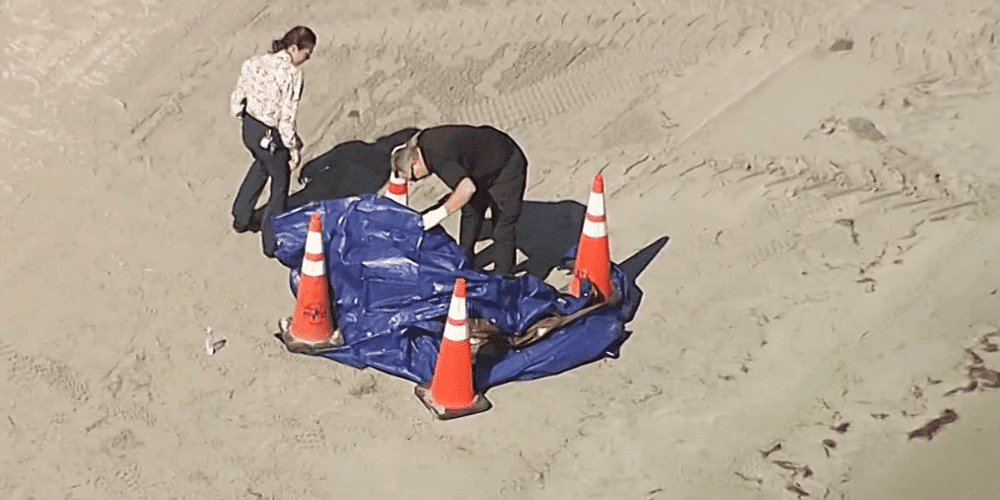 ¡Espeluznante! Encuentran una cabeza humana en una popular playa de Florida