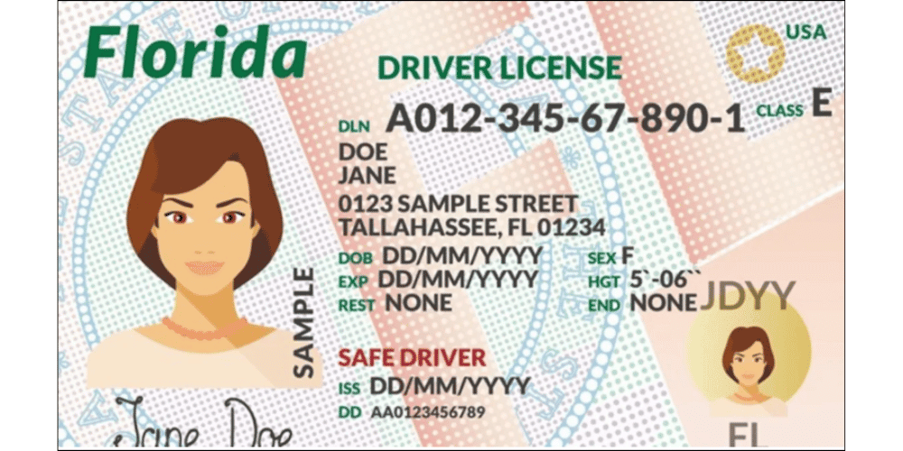 como-obtener-un-documento-de-identidad-como-inmigrante-en-Florida-documento-lafloridaseinforma.com