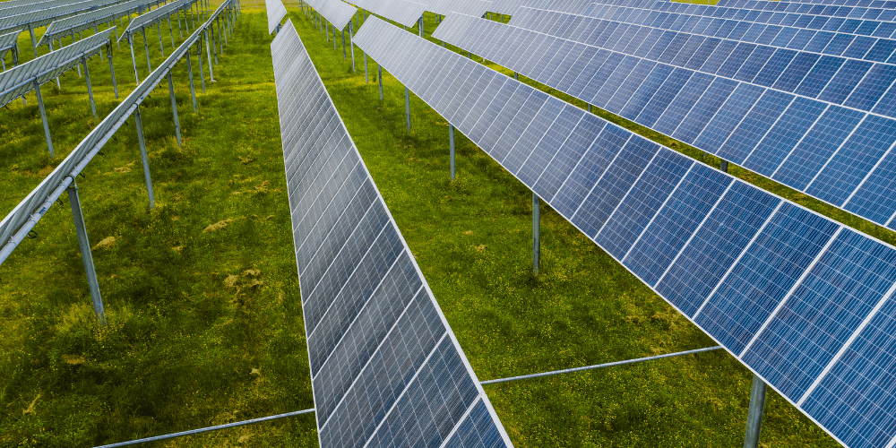 tecnologia-verde-en-Florida-proyectos-de-energia-solar-y-sostenibilidad-en-2025-granjas-solares-lafloridaseinforma.com