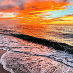 Cambio Climático en 2025: Las Playas de Florida Bajo Amenaza