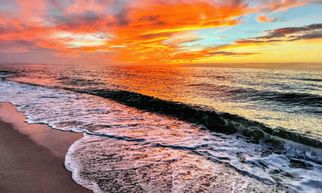 Cambio Climático en 2025: Las Playas de Florida Bajo Amenaza