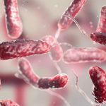 Aumentan a 20 los casos de bacteria carnívora en Florida con 5 muertes confirmadas en 2025