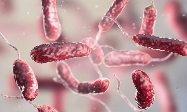 Aumentan a 20 los casos de bacteria carnívora en Florida con 5 muertes confirmadas en 2025