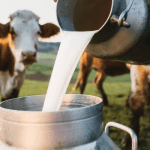 Brote por Leche Cruda en Florida: 21 Personas Enfermas Incluyendo 6 Niños