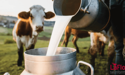 Brote por Leche Cruda en Florida: 21 Personas Enfermas Incluyendo 6 Niños
