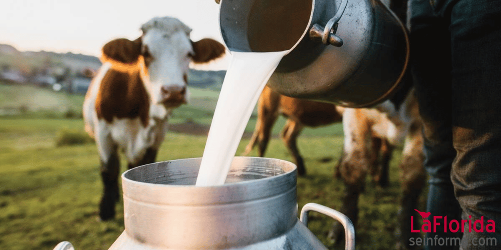 Brote por Leche Cruda en Florida: 21 Personas Enfermas Incluyendo 6 Niños