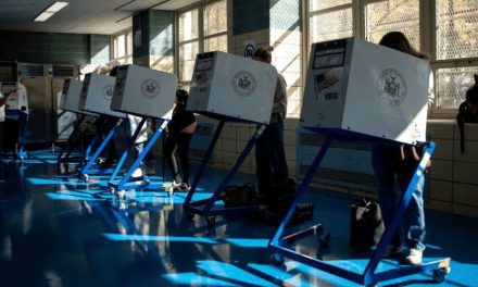 Segunda vuelta por la alcaldía de Miami: Higgins y González se enfrentan el 9 de diciembre