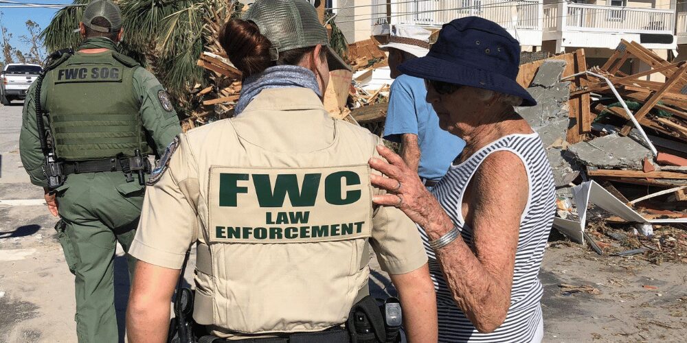 FWC autoriza y regula la recogida temporal de iguanas congeladas