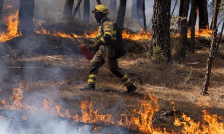 Incendio forestal en Florida quema 25.000 acres y el humo llega al condado Highlands: alerta y prohibición de quema