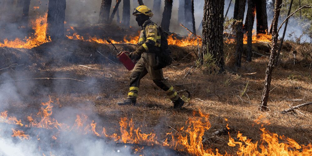 Incendio forestal en Florida quema 25.000 acres y el humo llega al condado Highlands: alerta y prohibición de quema